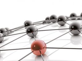 Become a member of the new WT network