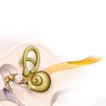 Wearables Improving Life