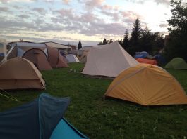 Music Festivals WT Style