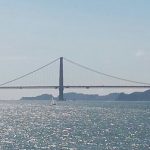 News Roundup – July 2015