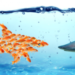 News Roundup – November 2015