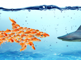 News Roundup – November 2015