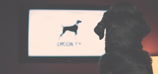 LYCOS is simplifying a new problem!