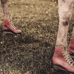 Wearable Health Trackers for Horses