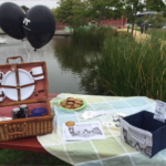 Impression from the WT | Picnic 2016