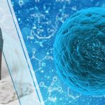 How Wearables are Helping Cure Cancer