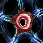 Graphene – The Magic Ingredient for Advanced Wearables