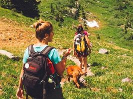 Lifestyle Changing Gadgets