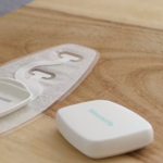 Bloomlife-Pregnancy-Tracker-1