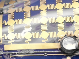 Scientists Develop Marine Skin Wearable to Track Underwater Creatures marine skin