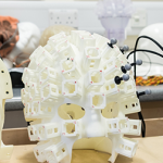 This Wearable Brain Scanner Can Record Your Brain Activity While You’re Moving Wearable brain scanner