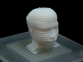 KIST Develops 3D Soft Robots That Look Like Living Creatures 3d soft robots