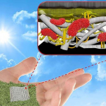 Scientists Develop Biodegradable, Paper-Based Biobatteries Biodegradable paper batteries