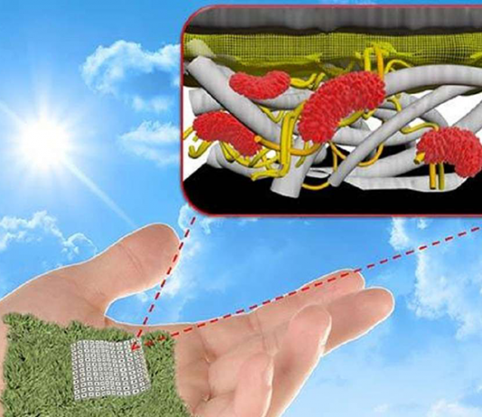 Scientists Develop Biodegradable, Paper-Based Biobatteries Biodegradable paper batteries