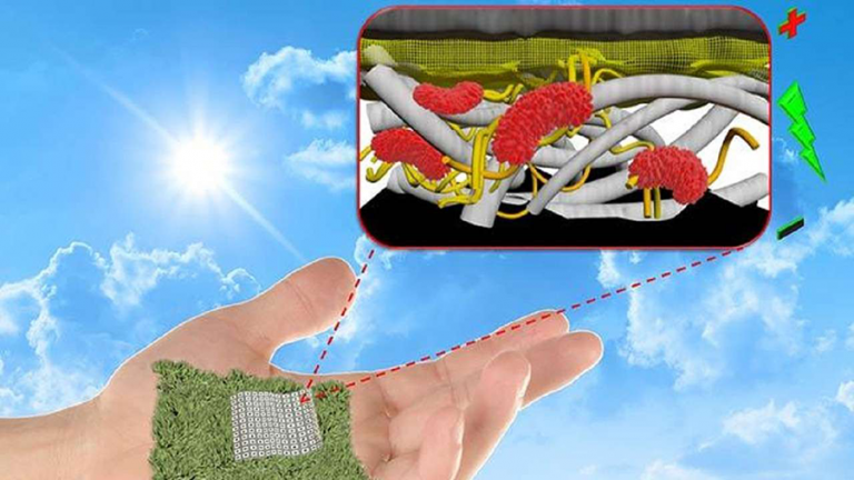 Biodegradable paper batteries