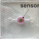 Microscopic Photonic Biosensor allows real-time oxygen monitoring In Organ-on-a-chip Systems Photonic Biosensor