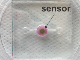 Microscopic Photonic Biosensor allows real-time oxygen monitoring In Organ-on-a-chip Systems Photonic Biosensor