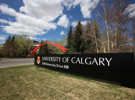 University of Calgary Launches Wearable Tech Program Amid Huge Demand University of Calgary Wearable tech