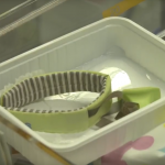 Body- Hugging Elastic Printed Circuit Board Allows Measurement of Heart and Lung Function Directly on the Skin Cradl project