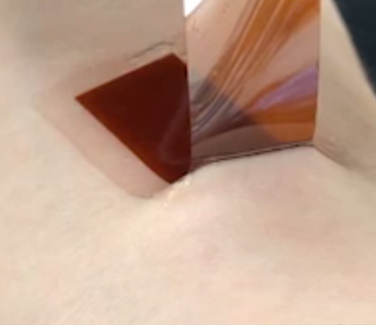South Korean Scientists Program Silk for Wearable Electronics Programmed silk wearables