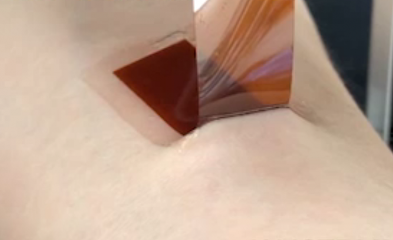 Programmed silk wearables