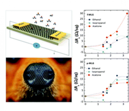 Graphene Biosensor Could Provide Early Diagnosis of Lung Cancer Biosensor for lung cancer
