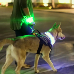 US Homeland Security Wants to Outfit Its Dogs with Wearable Tech Homeland Security wearable for K9
