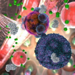 New Urine Test Detects Organ Transplant Rejection by Making Urine Glow Organ transplant rejection test