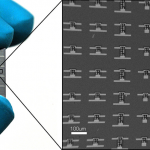 Tiny Cell-sized Microbots Could Help in Drug Delivery Microbots for drug delivery