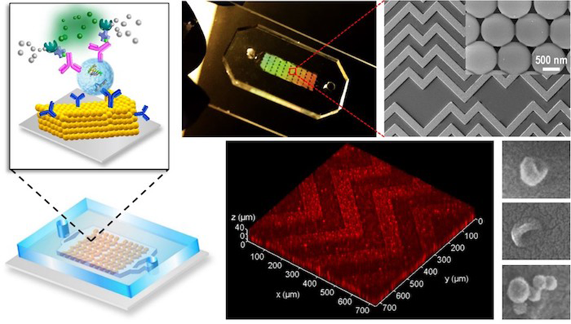 Microfluidic device for cancer
