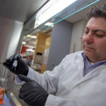 Tea Bag Implant Releases Insulin for Children with Diabetes while Protecting Islet Cells Tea bag implant