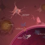 Artificial Intelligence Tool to Boost Alzheimer’s Disease Research AI tool for Alzheimers research