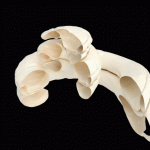 med-el-flex28-electrode-insertion-xx-xx-en-web