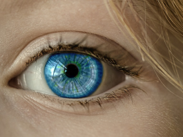 Global Smart Contact Lenses Market 2019-2026: Size, Share, Top Vendor, Trends and Demand Smart contact lens market