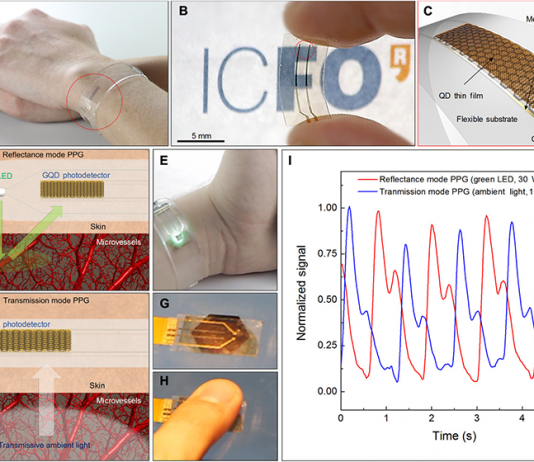 Flexible Graphene Photodetectors Accurately Measure Health Data in Wearables Flexible Graphene Photodetectors