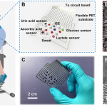 Wearable Patch Made Out of Silk Monitors Sweat Biomarkers in Real Time Silk patch monitors sweat biomarkers