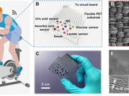 Wearable Patch Made Out of Silk Monitors Sweat Biomarkers in Real Time Silk patch monitors sweat biomarkers