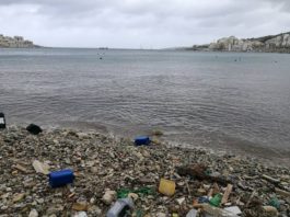 BioHiTech to Provide Its Revolution Series Digesters and Data Analytics Platform to Carnival BioHiTech Carnival purchase deal