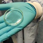 Bioengineers Develop Tissue Patch that Can Heal Damaged Hearts Tissue patch for heart attack