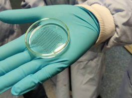 Bioengineers Develop Tissue Patch that Can Heal Damaged Hearts Tissue patch for heart attack