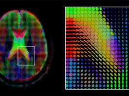 Biomarker Technologies Market Expected To Grow At 12.4% Reaching Over US$ 117,853 Mn by 2027 Biomarker technologies market