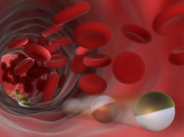 Micro Transporters Travel Against The Flow of Blood To Deliver Drugs Micro Transporters Deliver Drugs