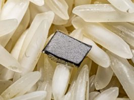 Rice University Researchers Develop Tiny Neural Stimulator That’s Wireless and Battery-Free Wireless battery free neural stimulator