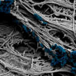 MIT Researchers Develop New Method of Stimulating Neurons MIT new method of stimulating neurons