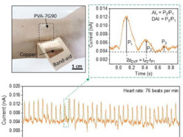 Energy Harvesting Nanogenerators Offer New Option For Monitoring Health Purdue University Energy Harvesting Nanogenerators