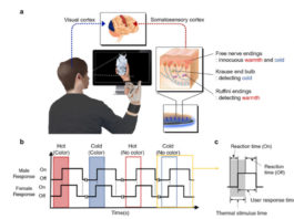 Thermal Display Glove Enable Users to Feel Virtual Temperatures in Real-Time KAIST thermal display glove