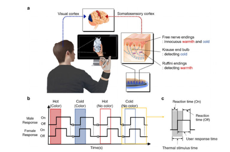 KAIST thermal display glove