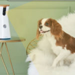 5 Unusual and Cool IoT Use Cases Around the World Unusual Cool IoT Use Cases