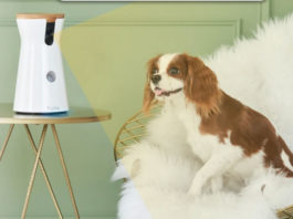 5 Unusual and Cool IoT Use Cases Around the World Unusual Cool IoT Use Cases