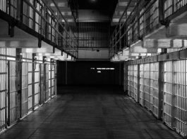 Researchers Using Artificial Intelligence To Keep Parolees From Recommitting Crimes AI stop parolees recommit crimes